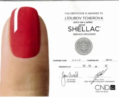 shellac certificate - 1