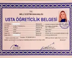 usta öğreticilik katılımı